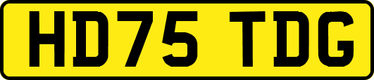 HD75TDG