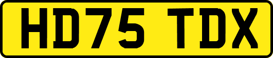 HD75TDX