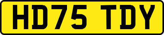 HD75TDY