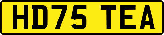 HD75TEA
