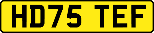 HD75TEF