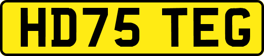 HD75TEG