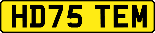 HD75TEM