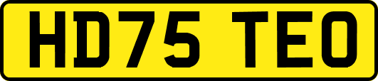 HD75TEO