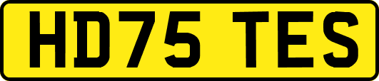 HD75TES