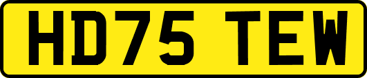 HD75TEW