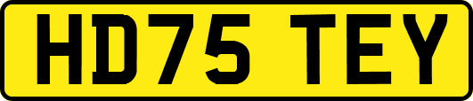 HD75TEY