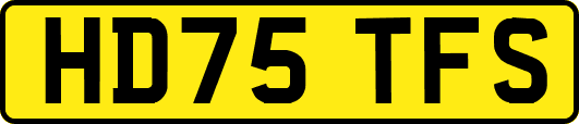 HD75TFS