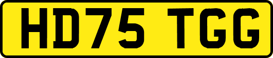 HD75TGG