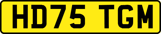 HD75TGM