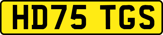 HD75TGS