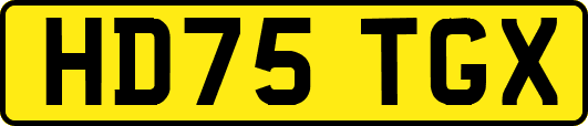 HD75TGX