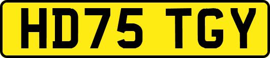 HD75TGY