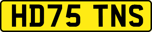 HD75TNS
