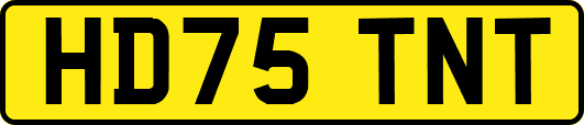 HD75TNT