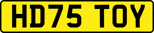 HD75TOY