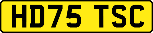 HD75TSC