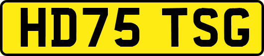 HD75TSG