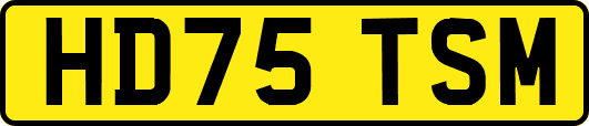 HD75TSM