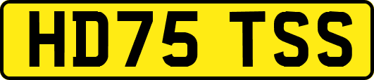 HD75TSS