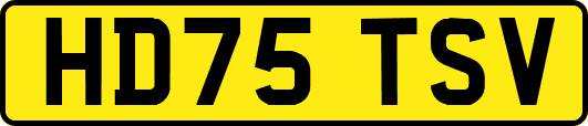 HD75TSV