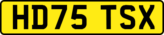 HD75TSX