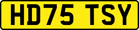 HD75TSY