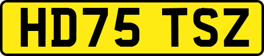 HD75TSZ