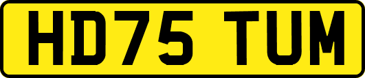 HD75TUM
