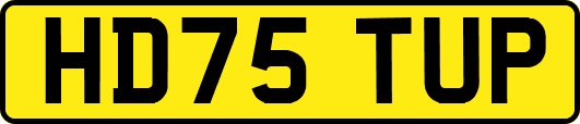 HD75TUP