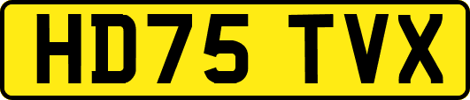 HD75TVX