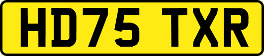 HD75TXR