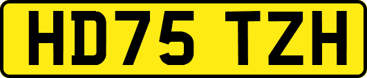 HD75TZH