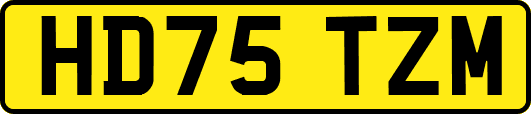 HD75TZM