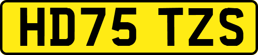 HD75TZS