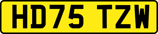 HD75TZW
