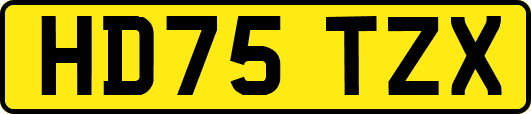 HD75TZX