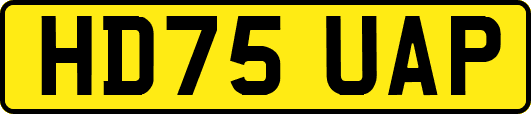 HD75UAP
