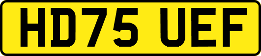 HD75UEF
