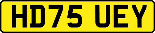 HD75UEY