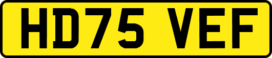 HD75VEF