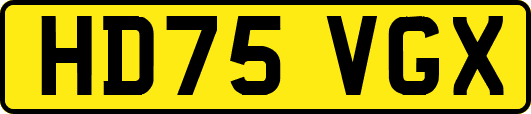 HD75VGX