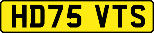 HD75VTS