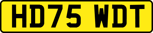 HD75WDT