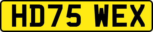 HD75WEX
