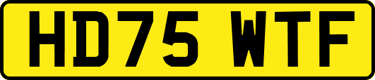 HD75WTF