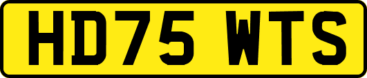 HD75WTS