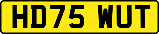 HD75WUT