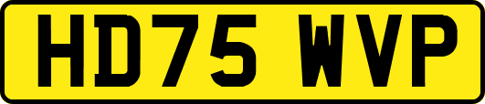 HD75WVP