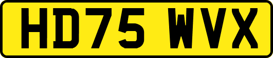 HD75WVX